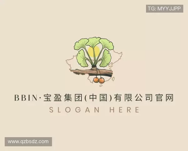 解读bbin宝盈集团官网