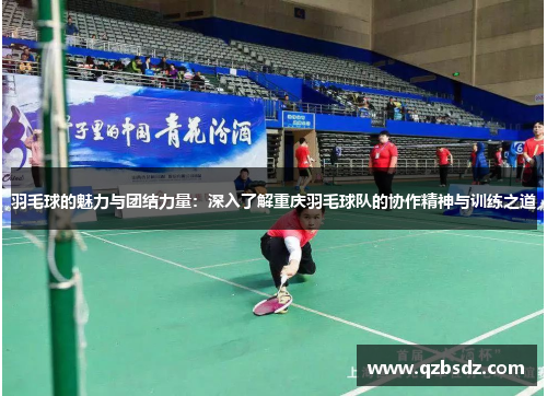 羽毛球的魅力与团结力量：深入了解重庆羽毛球队的协作精神与训练之道